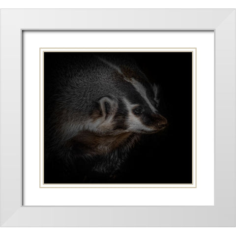Sir Badger White Modern Wood Framed Art Print with Double Matting by Parker, Kelley