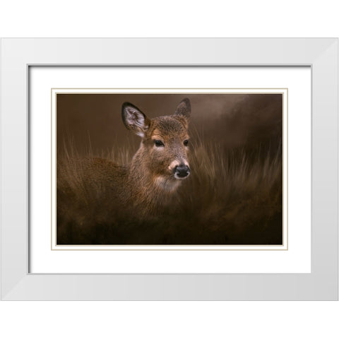 Encounter White Modern Wood Framed Art Print with Double Matting by Parker, Kelley