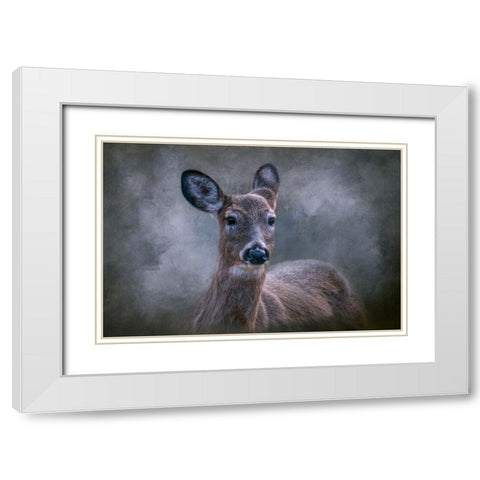 Wild Beauty White Modern Wood Framed Art Print with Double Matting by Parker, Kelley