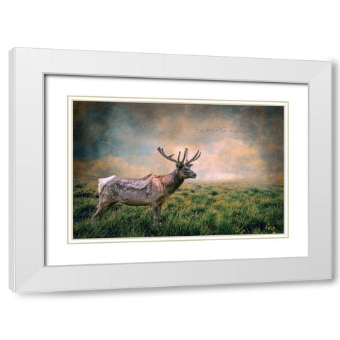 The Lone Leader White Modern Wood Framed Art Print with Double Matting by Parker, Kelley