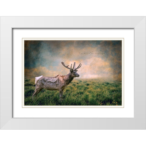 The Lone Leader White Modern Wood Framed Art Print with Double Matting by Parker, Kelley