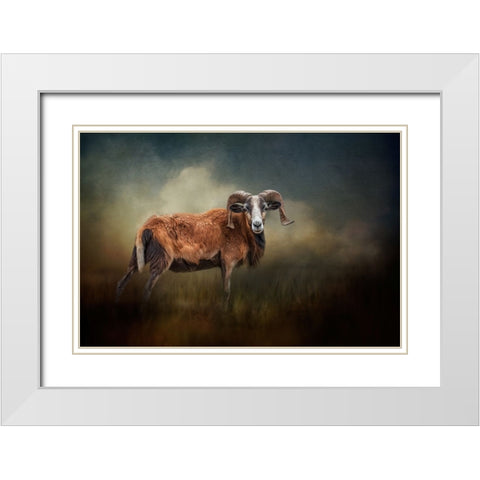 Focused on You White Modern Wood Framed Art Print with Double Matting by Parker, Kelley