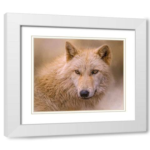 Clever Eyes White Modern Wood Framed Art Print with Double Matting by Parker, Kelley