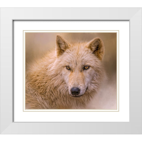 Clever Eyes White Modern Wood Framed Art Print with Double Matting by Parker, Kelley