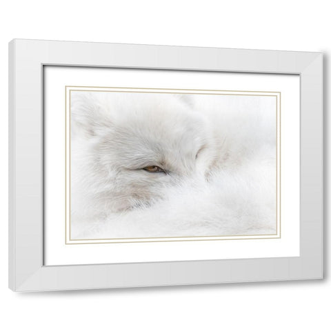 White on White White Modern Wood Framed Art Print with Double Matting by Parker, Kelley
