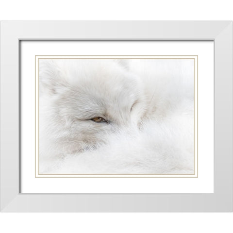White on White White Modern Wood Framed Art Print with Double Matting by Parker, Kelley