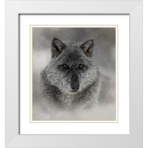Winter Wolf White Modern Wood Framed Art Print with Double Matting by Parker, Kelley