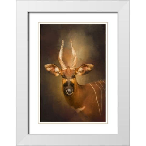 The Wild Star White Modern Wood Framed Art Print with Double Matting by Parker, Kelley