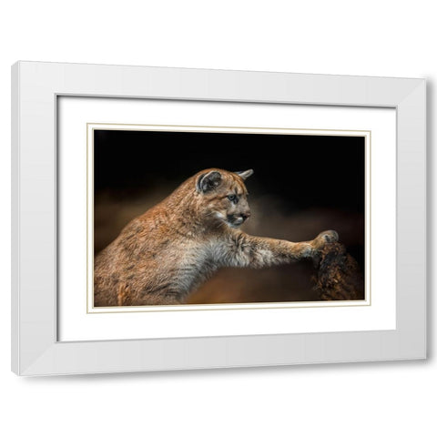 Attentive Observer White Modern Wood Framed Art Print with Double Matting by Parker, Kelley