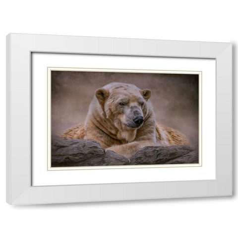 A Bears Life White Modern Wood Framed Art Print with Double Matting by Parker, Kelley