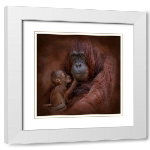 A Mothers Love White Modern Wood Framed Art Print with Double Matting by Parker, Kelley