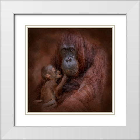 A Mothers Love White Modern Wood Framed Art Print with Double Matting by Parker, Kelley