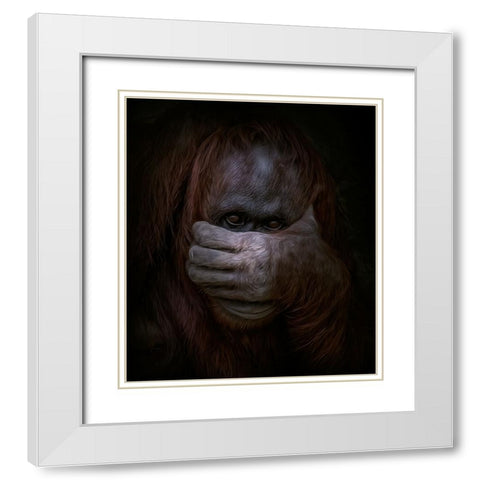 Peek-a-Boo White Modern Wood Framed Art Print with Double Matting by Parker, Kelley