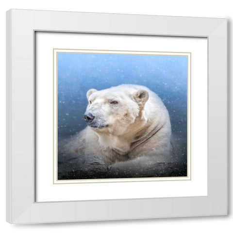 Snow King White Modern Wood Framed Art Print with Double Matting by Parker, Kelley