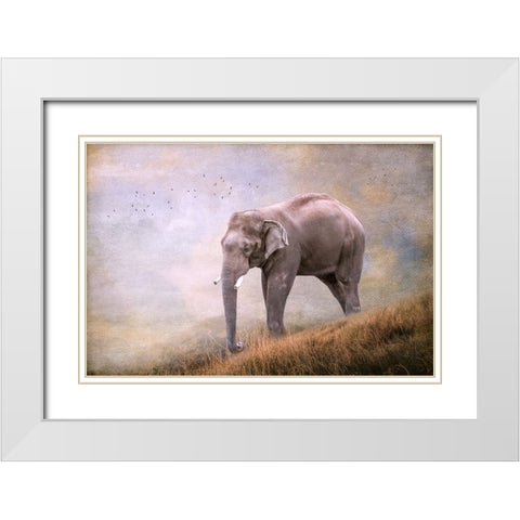 Silent Traveler White Modern Wood Framed Art Print with Double Matting by Parker, Kelley