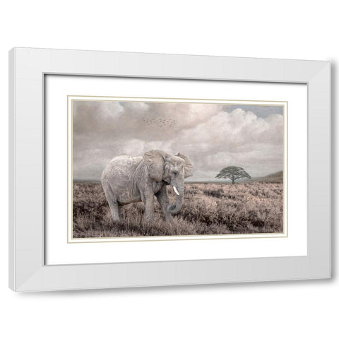 Time to Move On White Modern Wood Framed Art Print with Double Matting by Parker, Kelley