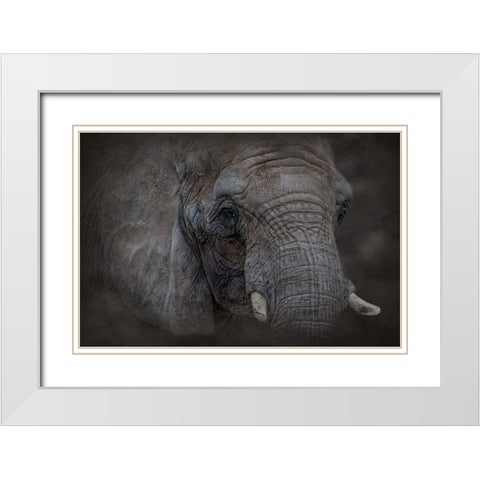 Textured White Modern Wood Framed Art Print with Double Matting by Parker, Kelley