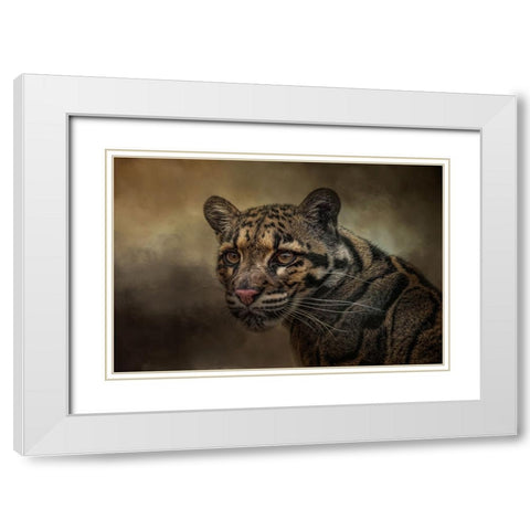Locked On White Modern Wood Framed Art Print with Double Matting by Parker, Kelley