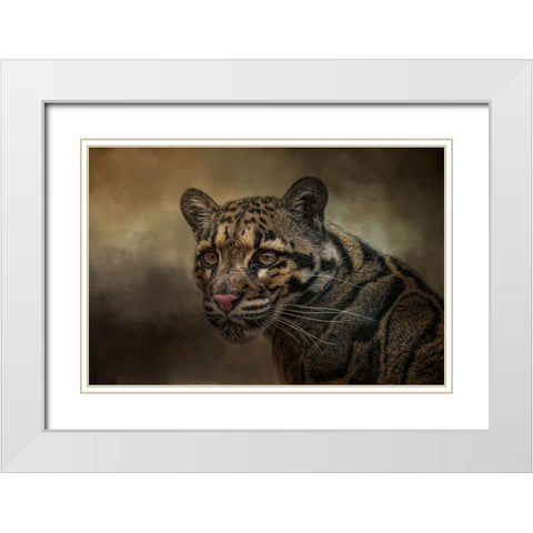 Locked On White Modern Wood Framed Art Print with Double Matting by Parker, Kelley