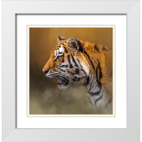 The Watchful Stare White Modern Wood Framed Art Print with Double Matting by Parker, Kelley