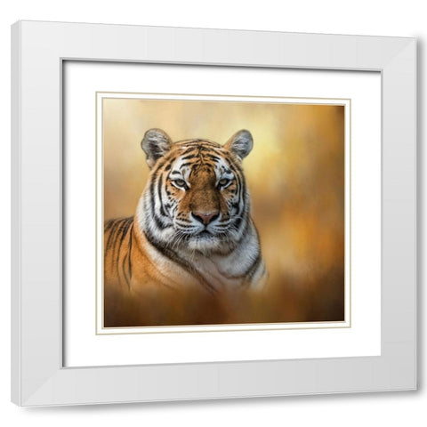 Tiger Queen White Modern Wood Framed Art Print with Double Matting by Parker, Kelley