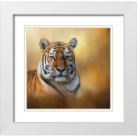 Tiger Queen White Modern Wood Framed Art Print with Double Matting by Parker, Kelley