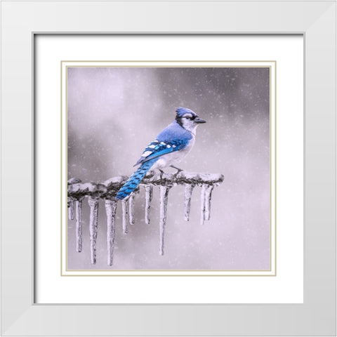 Cold Feet White Modern Wood Framed Art Print with Double Matting by Parker, Kelley