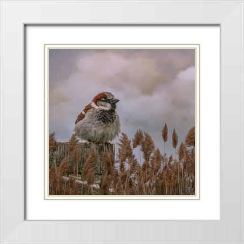His Eye on the Sparrow White Modern Wood Framed Art Print with Double Matting by Parker, Kelley