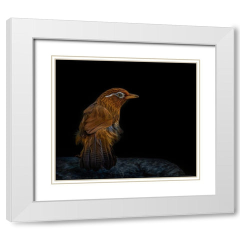 Painted Eyebrow White Modern Wood Framed Art Print with Double Matting by Parker, Kelley