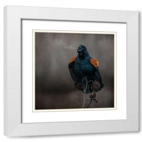 Bird Breath White Modern Wood Framed Art Print with Double Matting by Parker, Kelley