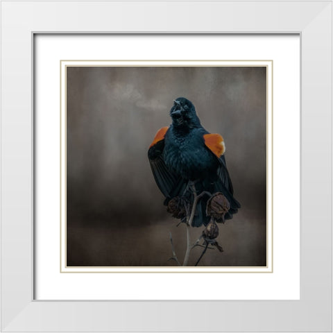 Bird Breath White Modern Wood Framed Art Print with Double Matting by Parker, Kelley
