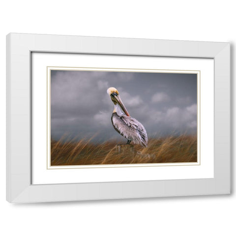 Pelican Way White Modern Wood Framed Art Print with Double Matting by Parker, Kelley