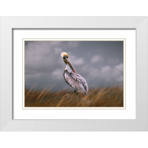 Pelican Way White Modern Wood Framed Art Print with Double Matting by Parker, Kelley