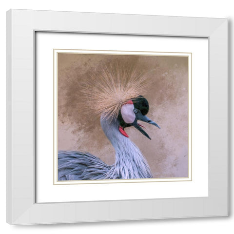 Crowned White Modern Wood Framed Art Print with Double Matting by Parker, Kelley