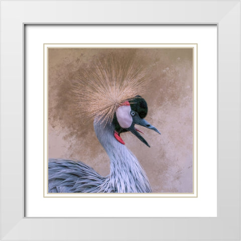 Crowned White Modern Wood Framed Art Print with Double Matting by Parker, Kelley