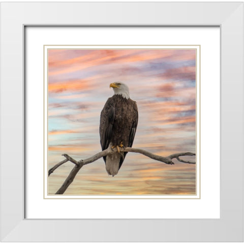 Sky Hunter White Modern Wood Framed Art Print with Double Matting by Parker, Kelley
