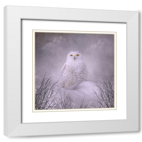Winter Wonderland White Modern Wood Framed Art Print with Double Matting by Parker, Kelley