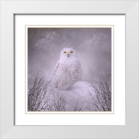 Winter Wonderland White Modern Wood Framed Art Print with Double Matting by Parker, Kelley