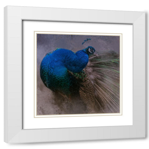 Natural Beauty White Modern Wood Framed Art Print with Double Matting by Parker, Kelley