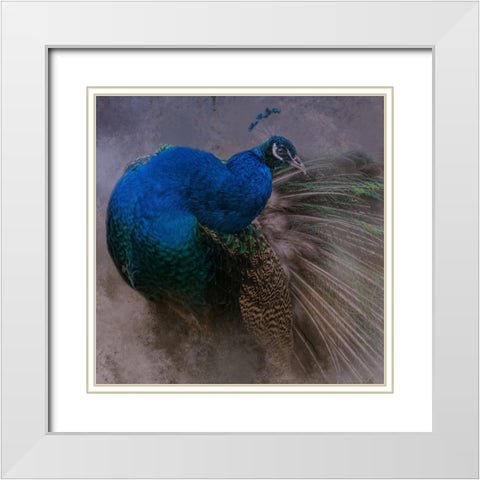 Natural Beauty White Modern Wood Framed Art Print with Double Matting by Parker, Kelley