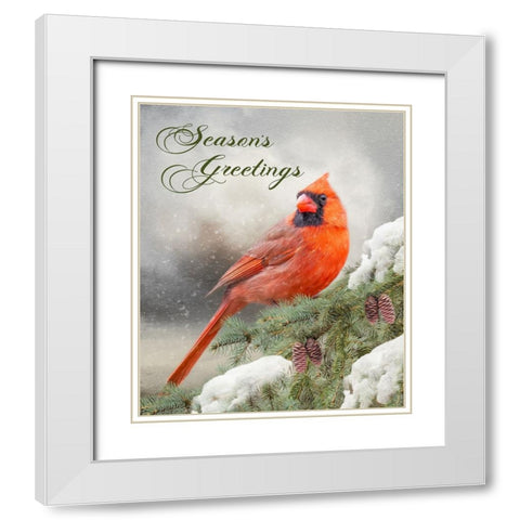 Seasons Greetings White Modern Wood Framed Art Print with Double Matting by Parker, Kelley