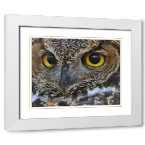 Owl Eyes White Modern Wood Framed Art Print with Double Matting by McFerrin, Larry
