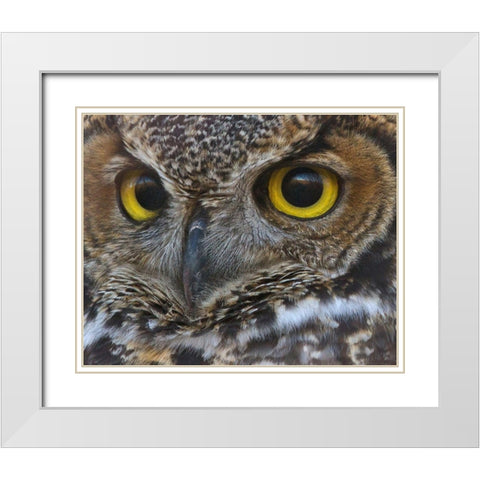 Owl Eyes White Modern Wood Framed Art Print with Double Matting by McFerrin, Larry