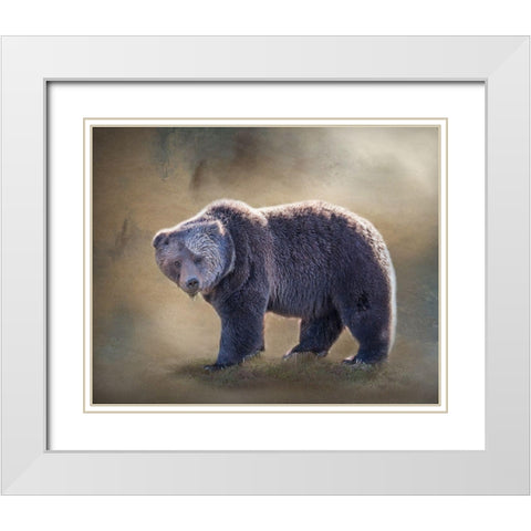 Grizzly Bear Boar White Modern Wood Framed Art Print with Double Matting by McFerrin, Larry