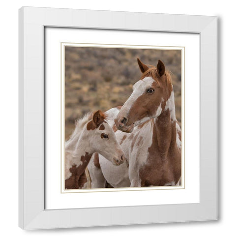 Gypsy and Sentinel - S Steens Wild Mustangs White Modern Wood Framed Art Print with Double Matting by McFerrin, Larry