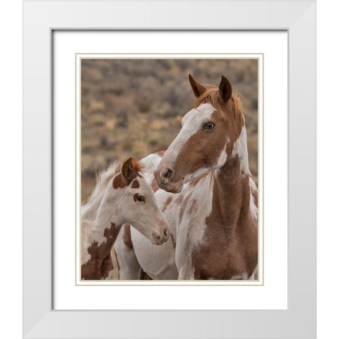 Gypsy and Sentinel - S Steens Wild Mustangs White Modern Wood Framed Art Print with Double Matting by McFerrin, Larry