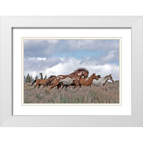 South Steens Mustangs White Modern Wood Framed Art Print with Double Matting by McFerrin, Larry