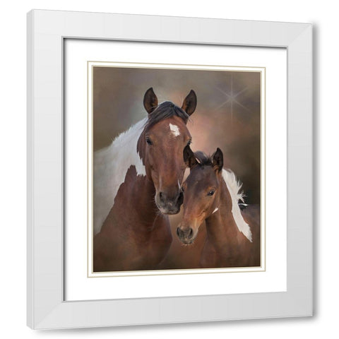 Smore and Chippewa - S Steens Mustangs White Modern Wood Framed Art Print with Double Matting by McFerrin, Larry