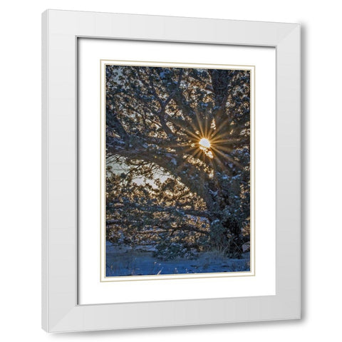 New Years Steens Mountain Sunrise White Modern Wood Framed Art Print with Double Matting by McFerrin, Larry