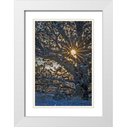 New Years Steens Mountain Sunrise White Modern Wood Framed Art Print with Double Matting by McFerrin, Larry